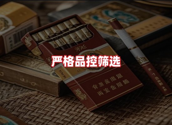 专业团队